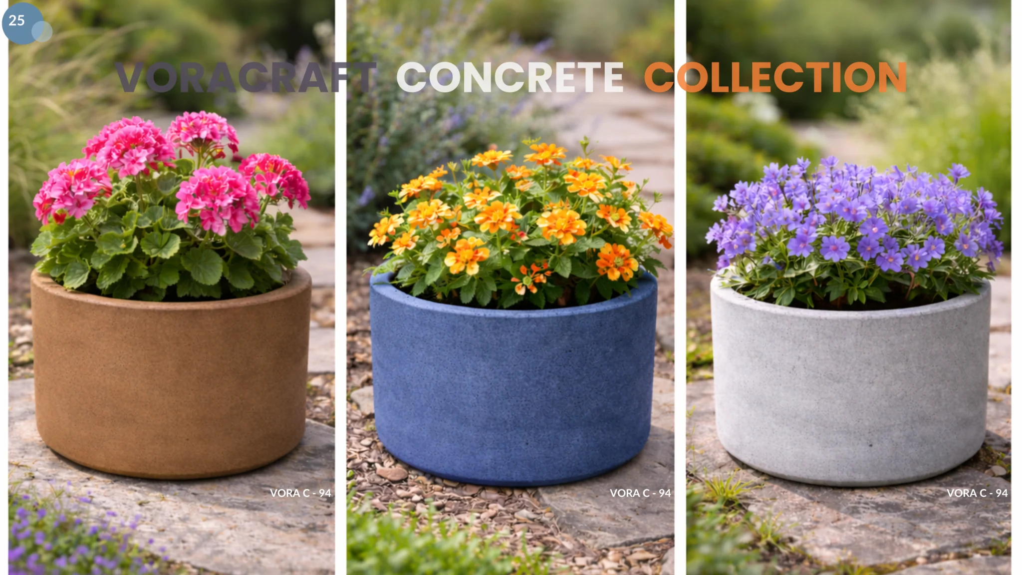 VoraCraft collection catalog introduction